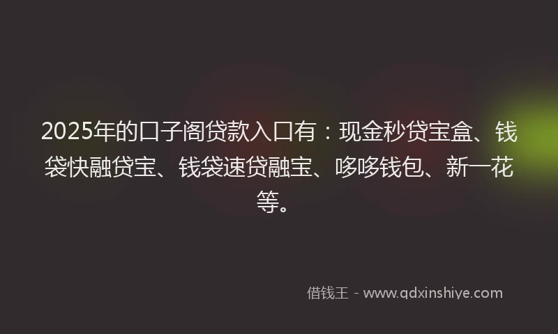 2025年的口子阁贷款入口有：现金秒贷宝盒、钱袋快融贷宝、钱袋速贷融宝、哆哆钱包、新一花等。