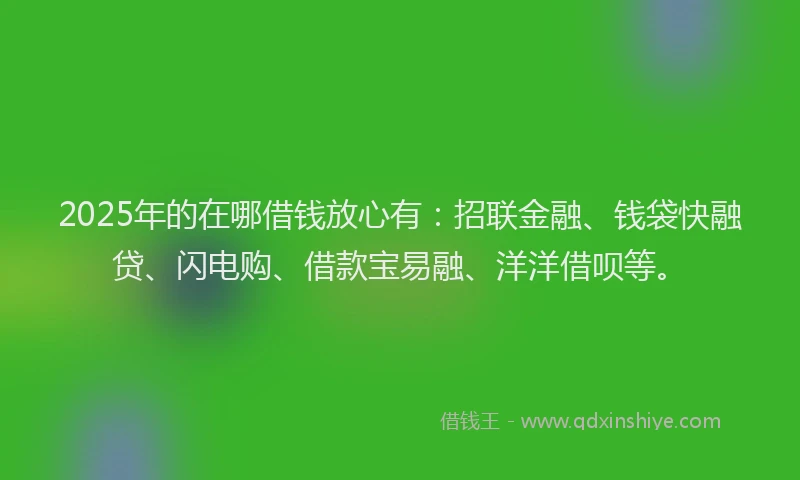 2025年的在哪借钱放心有：招联金融、钱袋快融贷、闪电购、借款宝易融、洋洋借呗等。