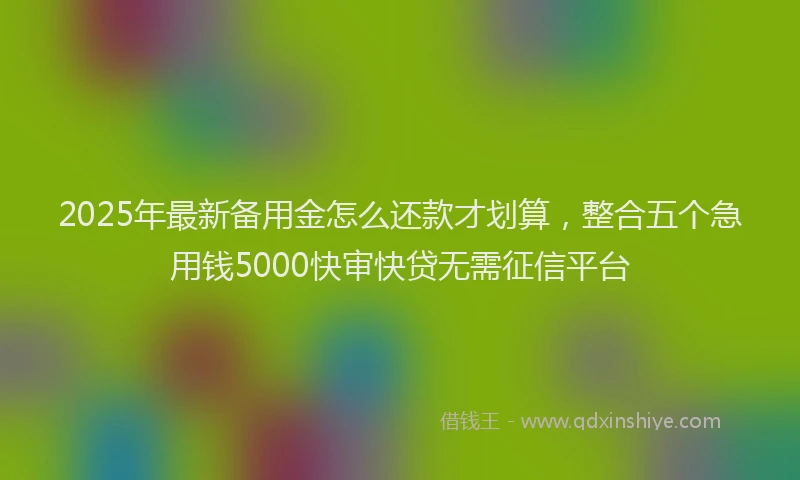 2025年最新备用金怎么还款才划算，整合五个急用钱5000快审快贷无需征信平台