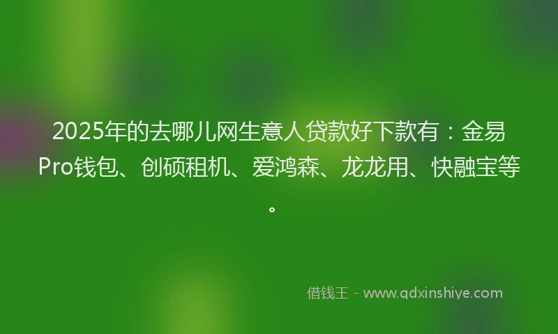 2025年的去哪儿网生意人贷款好下款有：金易Pro钱包、创硕租机、爱鸿森、龙龙用、快融宝等。