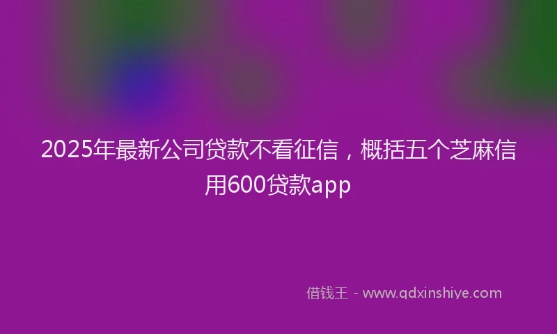 2025年最新公司贷款不看征信，概括五个芝麻信用600贷款app