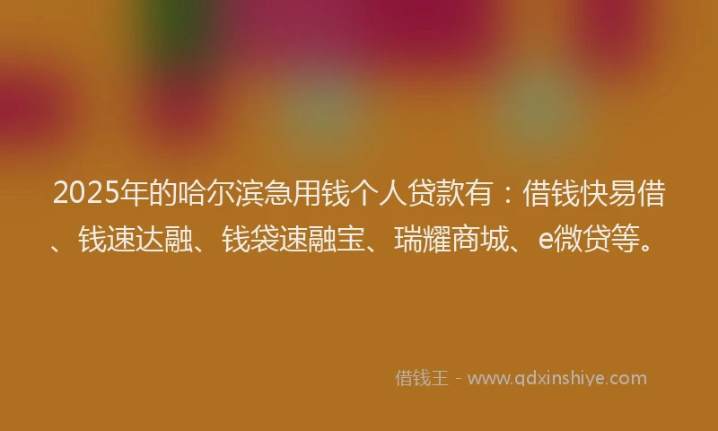 2025年的哈尔滨急用钱个人贷款有：借钱快易借、钱速达融、钱袋速融宝、瑞耀商城、e微贷等。