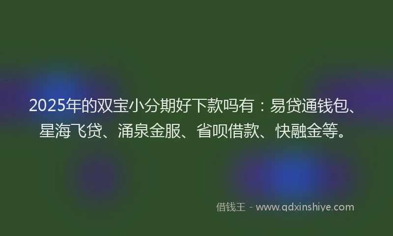 2025年的双宝小分期好下款吗有：易贷通钱包、星海飞贷、涌泉金服、省呗借款、快融金等。