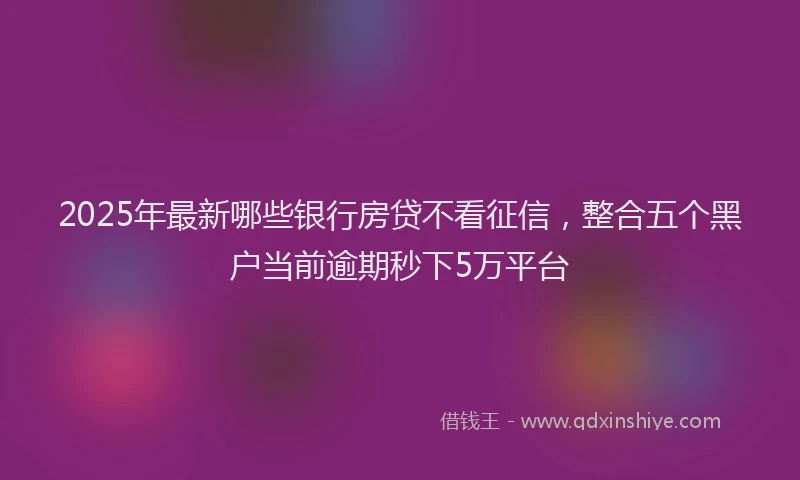 2025年最新哪些银行房贷不看征信，整合五个黑户当前逾期秒下5万平台