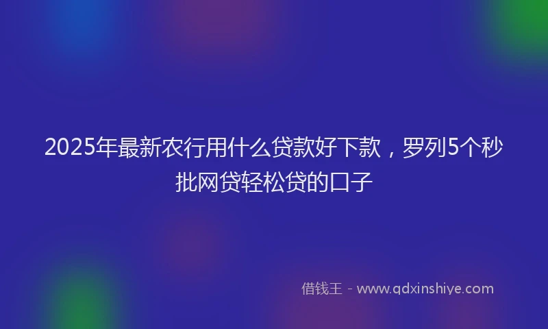 2025年最新农行用什么贷款好下款，罗列5个秒批网贷轻松贷的口子