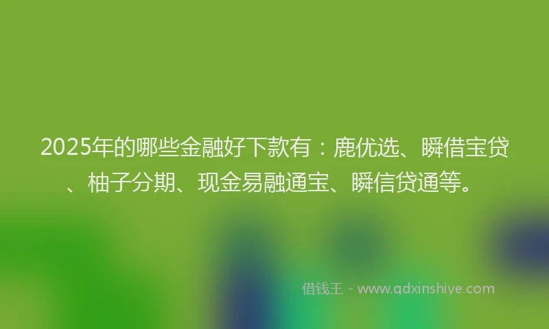 2025年的哪些金融好下款有：鹿优选、瞬借宝贷、柚子分期、现金易融通宝、瞬信贷通等。