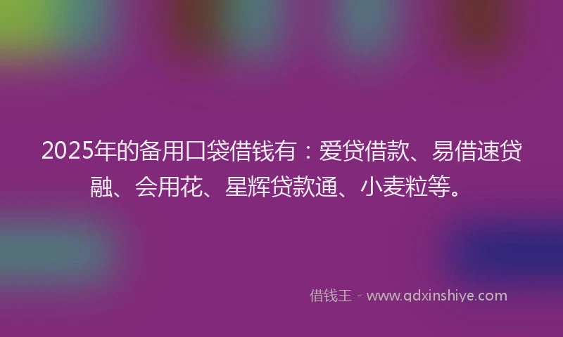 2025年的备用口袋借钱有：爱贷借款、易借速贷融、会用花、星辉贷款通、小麦粒等。