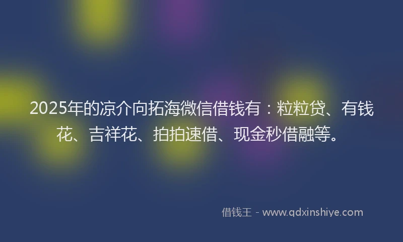 2025年的凉介向拓海微信借钱有：粒粒贷、有钱花、吉祥花、拍拍速借、现金秒借融等。
