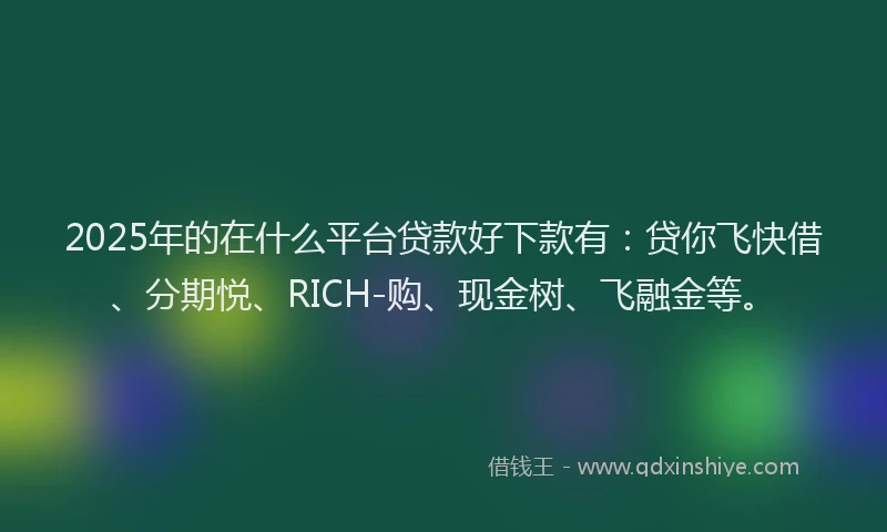 2025年的在什么平台贷款好下款有：贷你飞快借、分期悦、RICH-购、现金树、飞融金等。