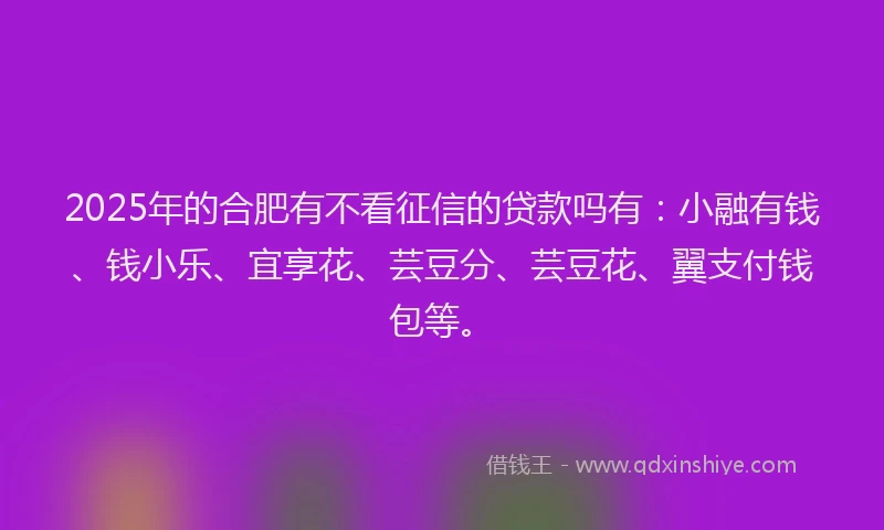 2025年的合肥有不看征信的贷款吗有：小融有钱、钱小乐、宜享花、芸豆分、芸豆花、翼支付钱包等。