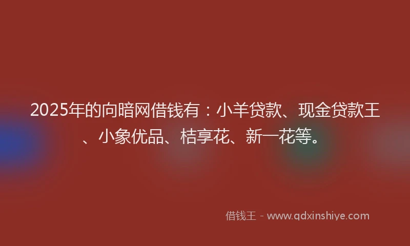 2025年的向暗网借钱有：小羊贷款、现金贷款王、小象优品、桔享花、新一花等。