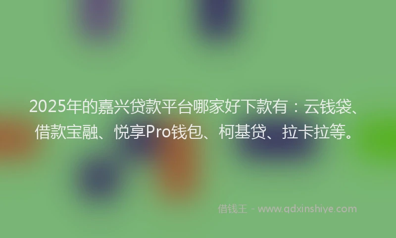 2025年的嘉兴贷款平台哪家好下款有：云钱袋、借款宝融、悦享Pro钱包、柯基贷、拉卡拉等。