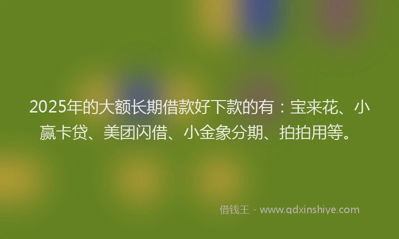 2025年的大额长期借款好下款的有：宝来花、小赢卡贷、美团闪借、小金象分期、拍拍用等。