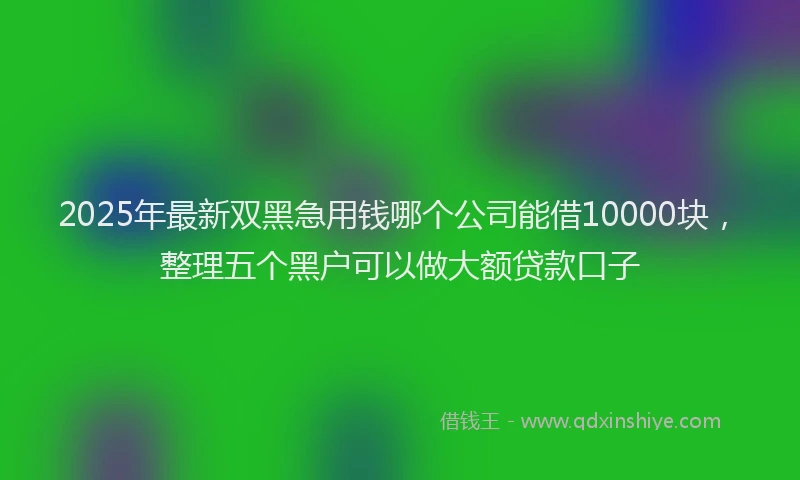 2025年最新双黑急用钱哪个公司能借10000块，整理五个黑户可以做大额贷款口子