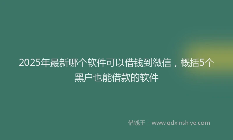 2025年最新哪个软件可以借钱到微信，概括5个黑户也能借款的软件