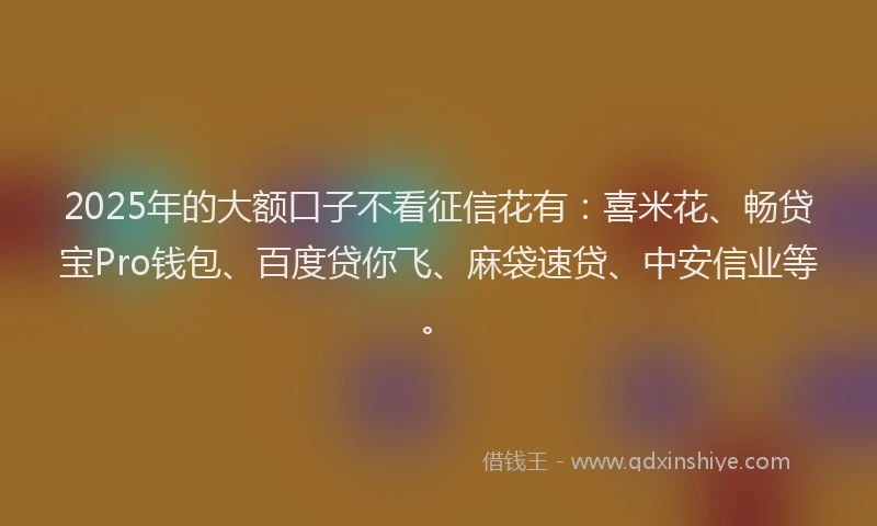 2025年的大额口子不看征信花有：喜米花、畅贷宝Pro钱包、百度贷你飞、麻袋速贷、中安信业等。