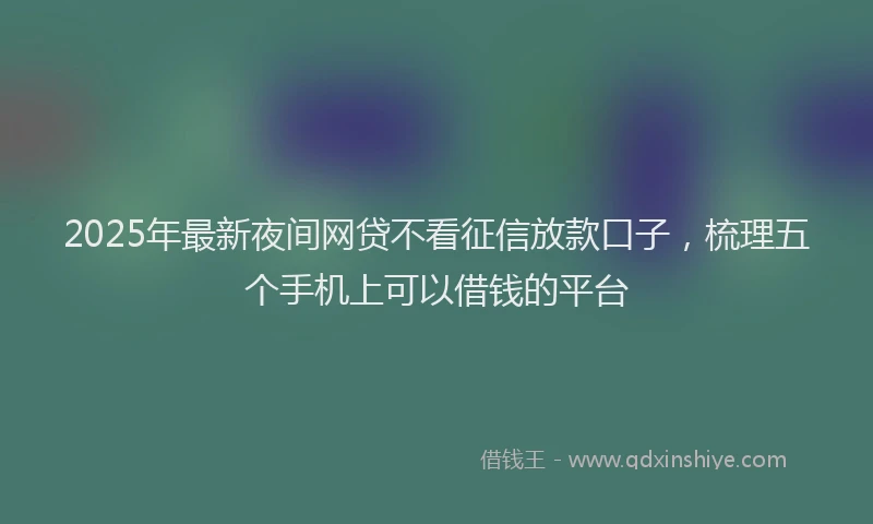 2025年最新夜间网贷不看征信放款口子，梳理五个手机上可以借钱的平台
