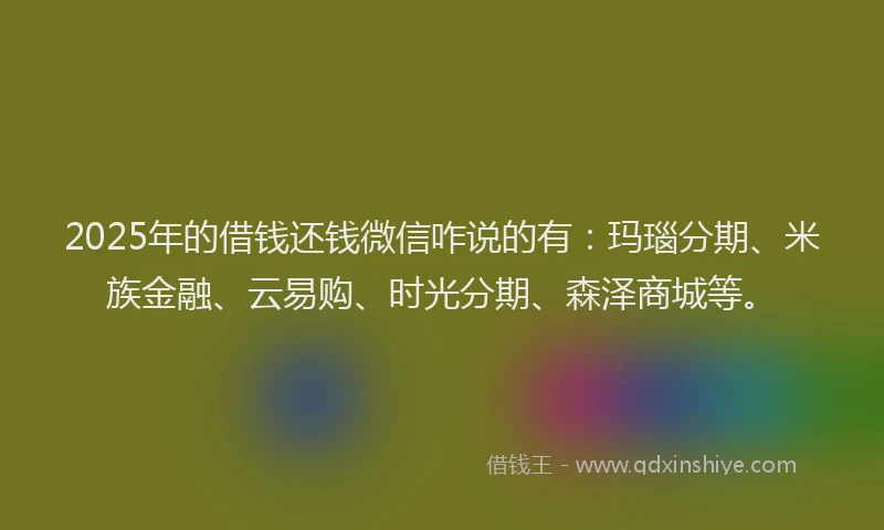 2025年的借钱还钱微信咋说的有：玛瑙分期、米族金融、云易购、时光分期、森泽商城等。