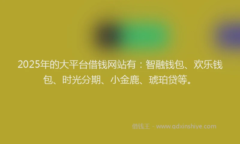 2025年的大平台借钱网站有：智融钱包、欢乐钱包、时光分期、小金鹿、琥珀贷等。