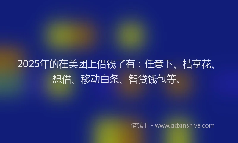 2025年的在美团上借钱了有：任意下、桔享花、想借、移动白条、智贷钱包等。