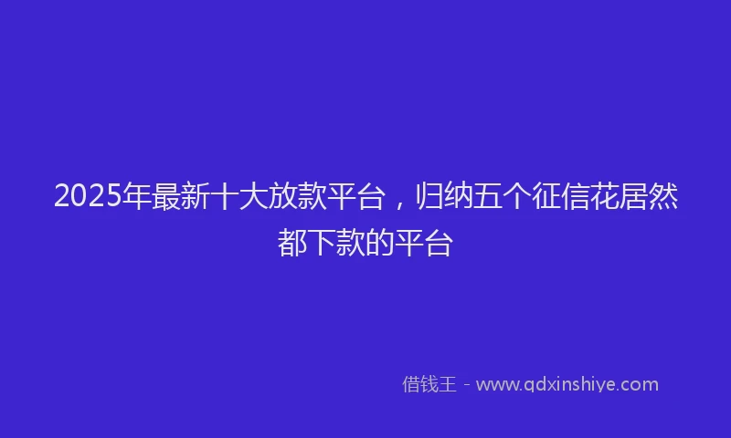 2025年最新十大放款平台，归纳五个征信花居然都下款的平台