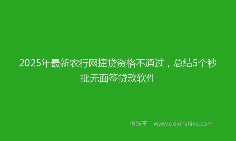 2025年最新农行网捷贷资格不通过，总结5个秒批无面签贷款软件