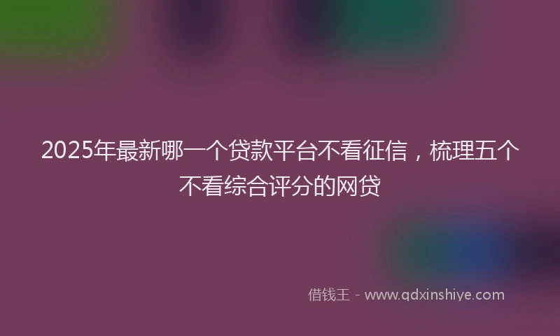 2025年最新哪一个贷款平台不看征信，梳理五个不看综合评分的网贷