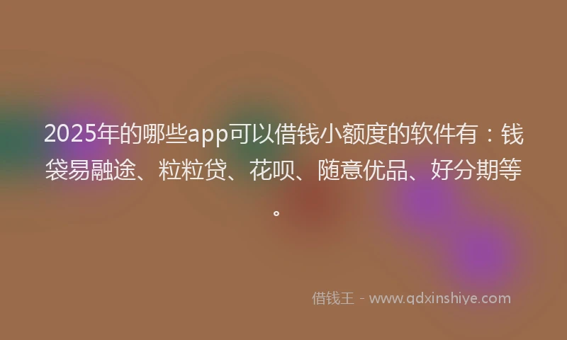 2025年的哪些app可以借钱小额度的软件有：钱袋易融途、粒粒贷、花呗、随意优品、好分期等。
