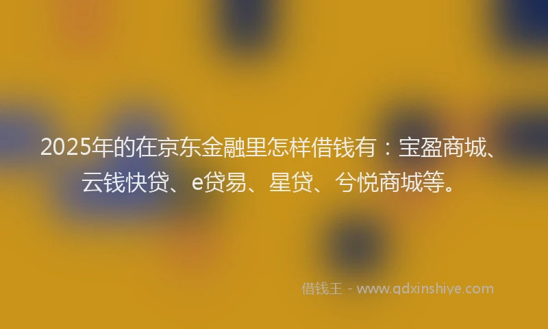 2025年的在京东金融里怎样借钱有：宝盈商城、云钱快贷、e贷易、星贷、兮悦商城等。