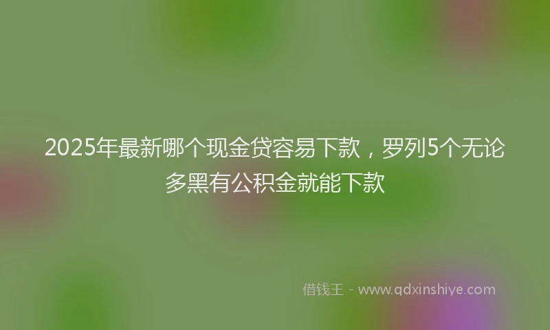2025年最新哪个现金贷容易下款，罗列5个无论多黑有公积金就能下款