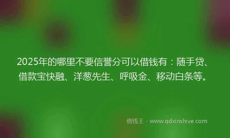 2025年的哪里不要信誉分可以借钱有：随手贷、借款宝快融、洋葱先生、呼吸金、移动白条等。