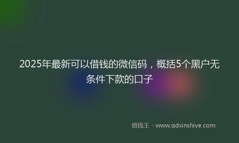 2025年最新可以借钱的微信码，概括5个黑户无条件下款的口子