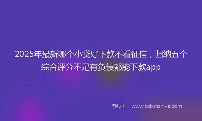 2025年最新哪个小贷好下款不看征信，归纳五个综合评分不足有负债都能下款app