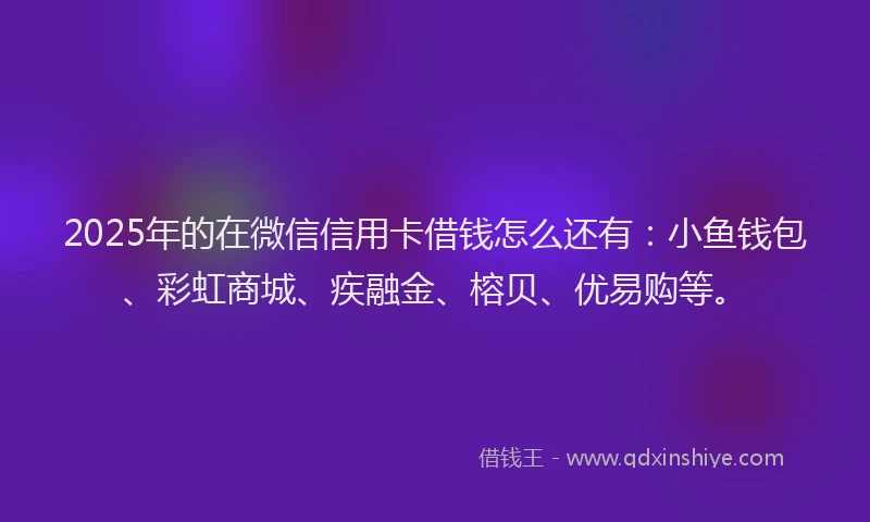 2025年的在微信信用卡借钱怎么还有：小鱼钱包、彩虹商城、疾融金、榕贝、优易购等。