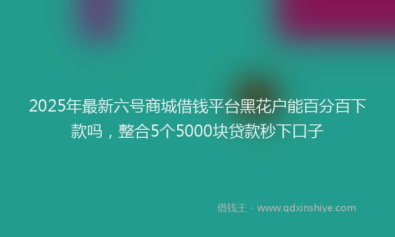 2025年最新六号商城借钱平台黑花户能百分百下款吗，整合5个5000块贷款秒下口子