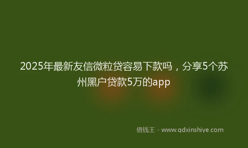 2025年最新友信微粒贷容易下款吗，分享5个苏州黑户贷款5万的app