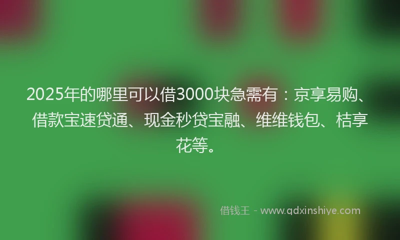 2025年的哪里可以借3000块急需有：京享易购、借款宝速贷通、现金秒贷宝融、维维钱包、桔享花等。