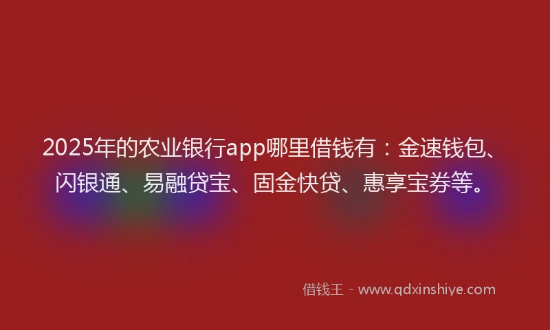 2025年的农业银行app哪里借钱有：金速钱包、闪银通、易融贷宝、固金快贷、惠享宝券等。