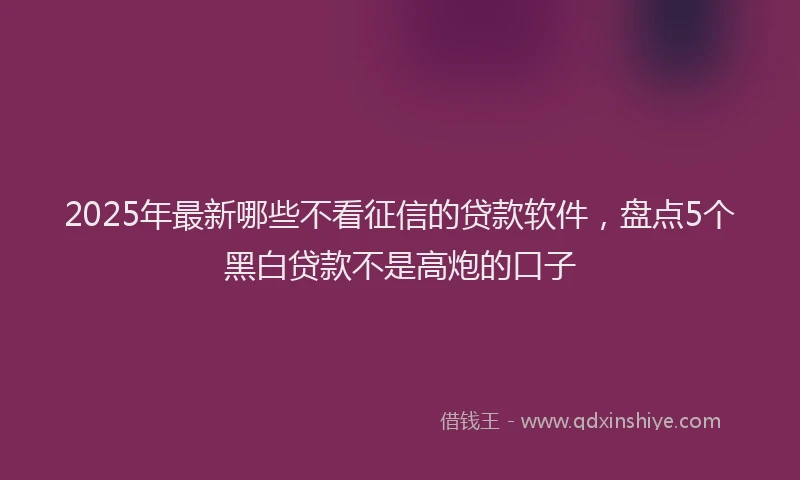 2025年最新哪些不看征信的贷款软件，盘点5个黑白贷款不是高炮的口子