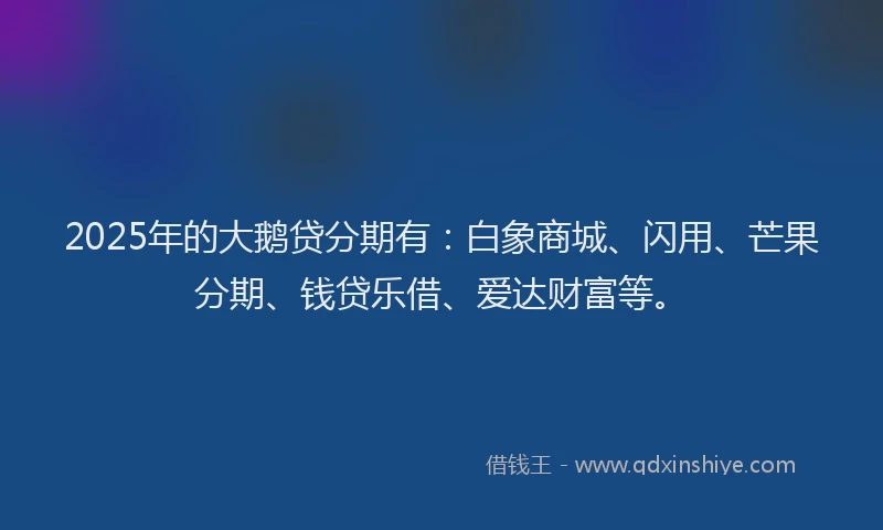 2025年的大鹅贷分期有：白象商城、闪用、芒果分期、钱贷乐借、爱达财富等。