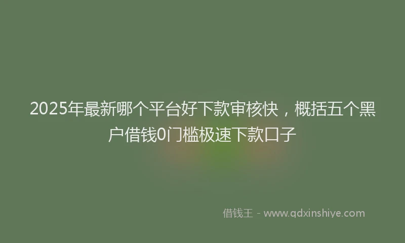 2025年最新哪个平台好下款审核快，概括五个黑户借钱0门槛极速下款口子