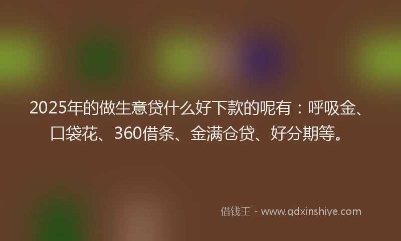2025年的做生意贷什么好下款的呢有：呼吸金、口袋花、360借条、金满仓贷、好分期等。