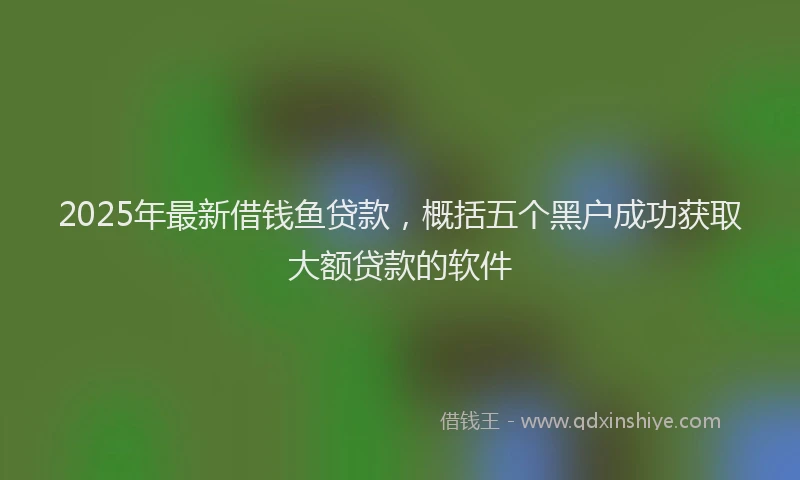 2025年最新借钱鱼贷款，概括五个黑户成功获取大额贷款的软件