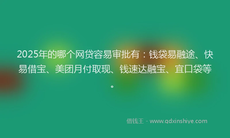 2025年的哪个网贷容易审批有：钱袋易融途、快易借宝、美团月付取现、钱速达融宝、宜口袋等。