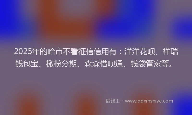 2025年的哈市不看征信信用有：洋洋花呗、祥瑞钱包宝、橄榄分期、森森借呗通、钱袋管家等。