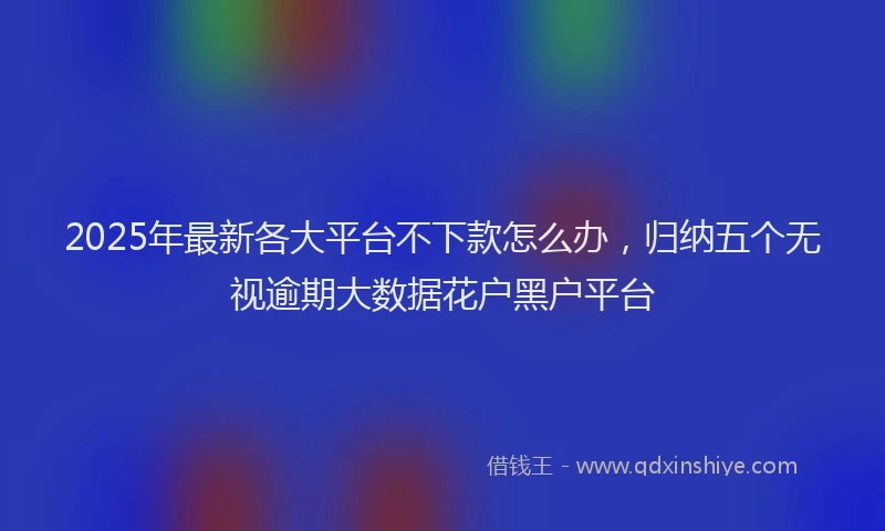 2025年最新各大平台不下款怎么办，归纳五个无视逾期大数据花户黑户平台