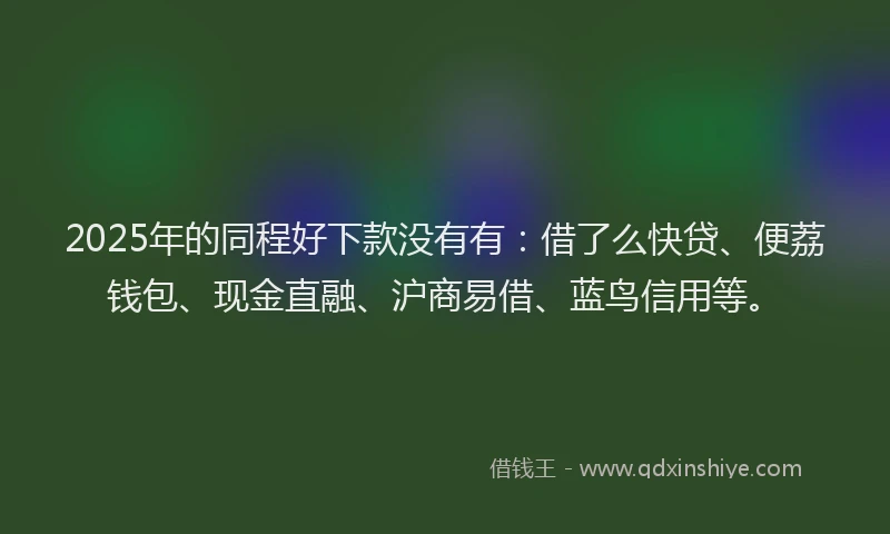 2025年的同程好下款没有有：借了么快贷、便荔钱包、现金直融、沪商易借、蓝鸟信用等。