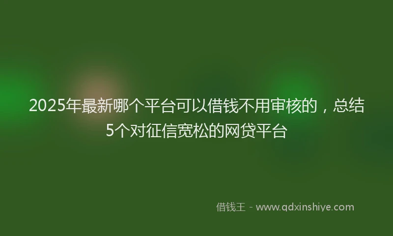 2025年最新哪个平台可以借钱不用审核的，总结5个对征信宽松的网贷平台