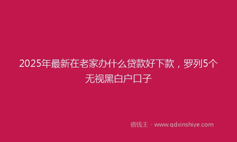 2025年最新在老家办什么贷款好下款，罗列5个无视黑白户口子