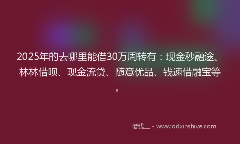 2025年的去哪里能借30万周转有：现金秒融途、林林借呗、现金流贷、随意优品、钱速借融宝等。